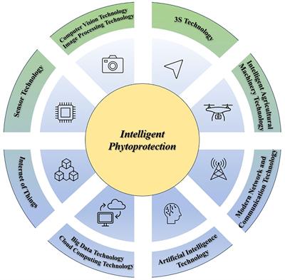 Empirical insights into industrial policy’s influence on phytoprotection innovation
